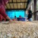 Stok Kedelai Langka, Diskop UKMP Bontang Sebut Ada Pasokan Akhir Pekan Ini