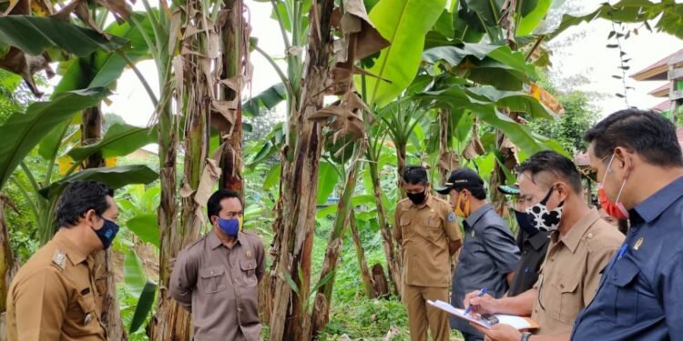 Komisi III Tinjau Kondisi Jalan Damai dan Sungai di Bontang Barat