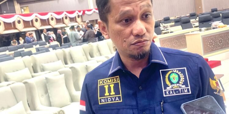 Nidya meminta bantuan dari pemerintah pusat untuk mempercepat proses pembangunan di Kalimantan Timur