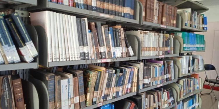 DPK Kaltim Dorong Pemberdayaan Tenaga Non-ASN dalam Kegiatan Pengelolaan Arsip