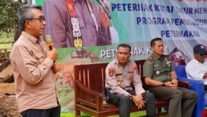 Hadiri Panen Pedet di Ranpul, Ardiansyah Dorong Pemberdayaan Gapoktan dalam Ketersediaan Daging1