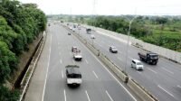 tol-merak