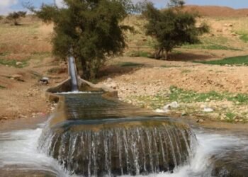 Israel Sengaja Cemari Sumber Air Palestina dengan Limbah